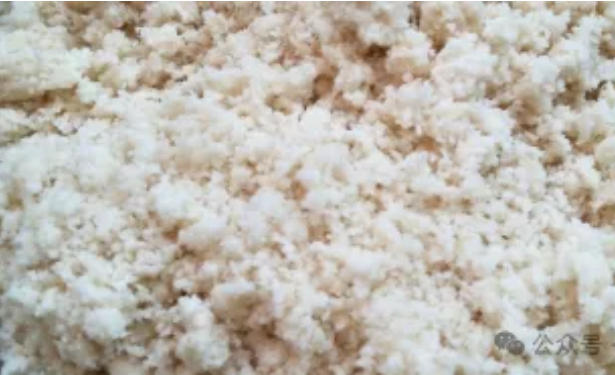 豆腐渣喂羊，是“省钱法宝”还是“隐形炸弹”？养羊户必看！