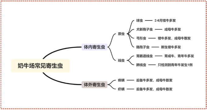 牛羊养殖场最易发的8种寄生虫（干货满满）