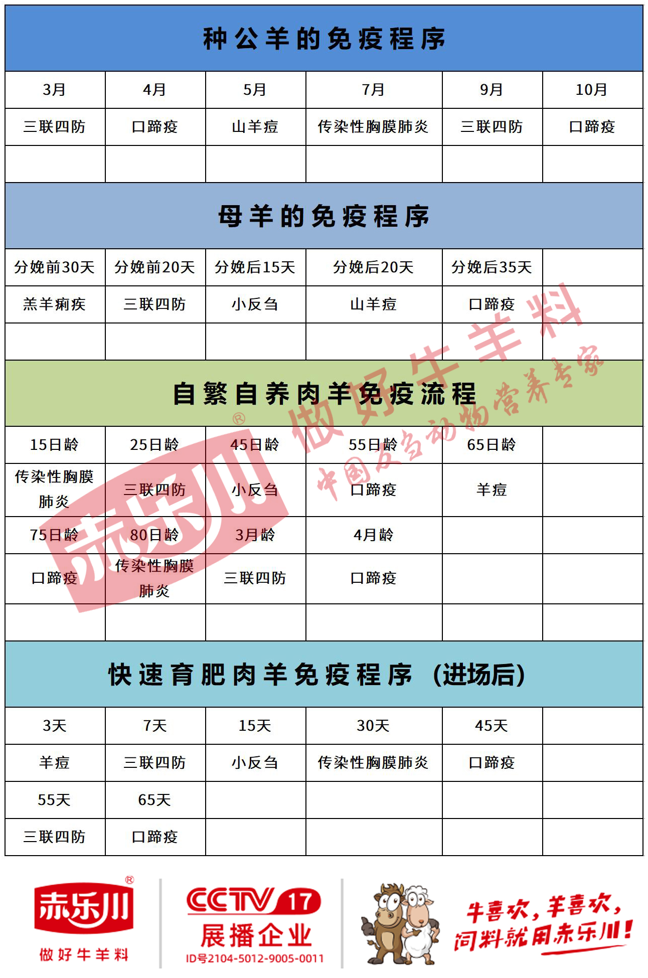 种公羊、母羊、肉羊免疫程序