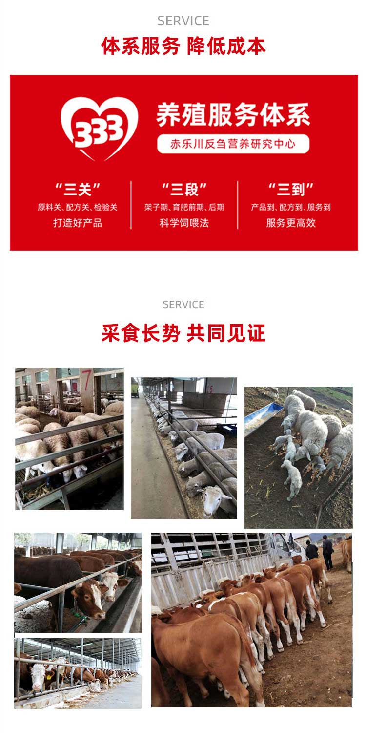 通底_05.jpg