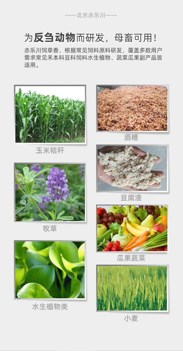 饲草香_05.jpg