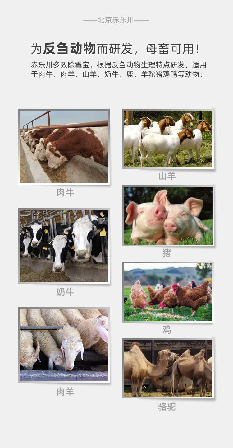 多效除霉宝_05.jpg