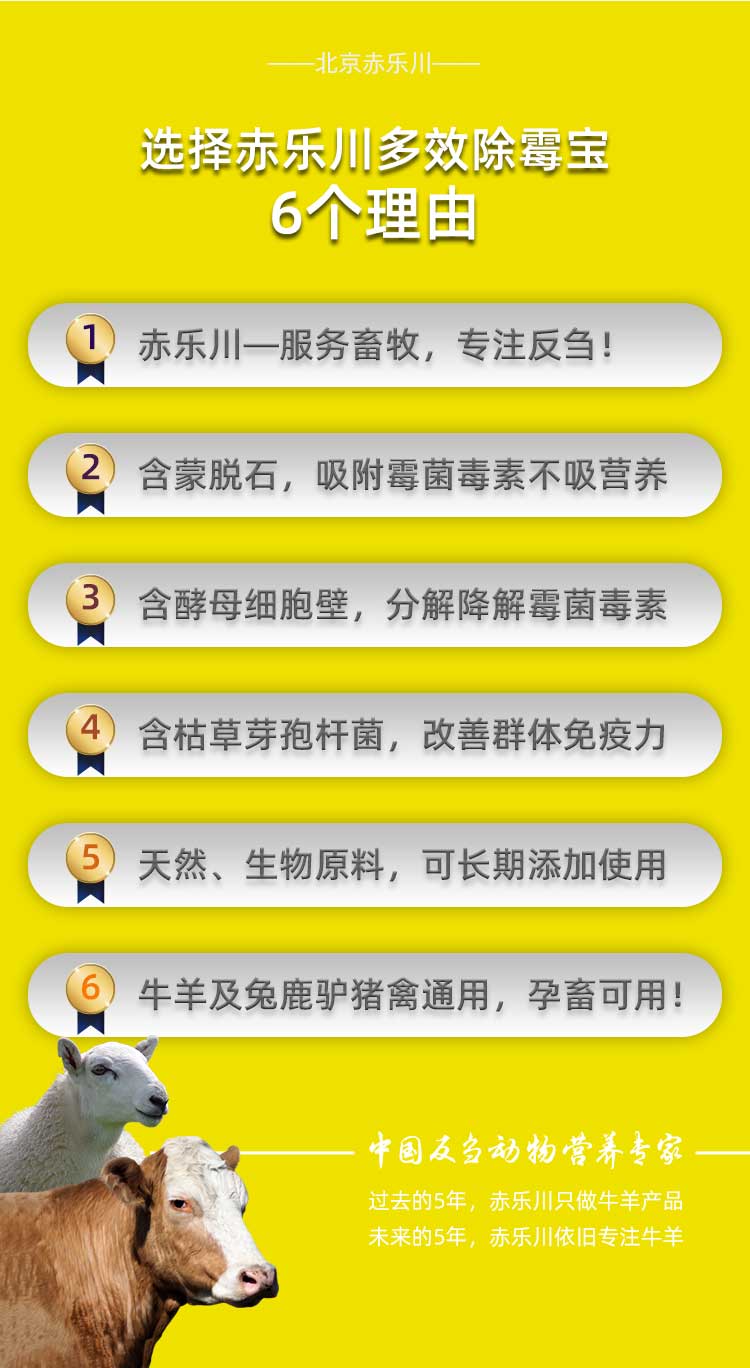 多效除霉宝_04.jpg