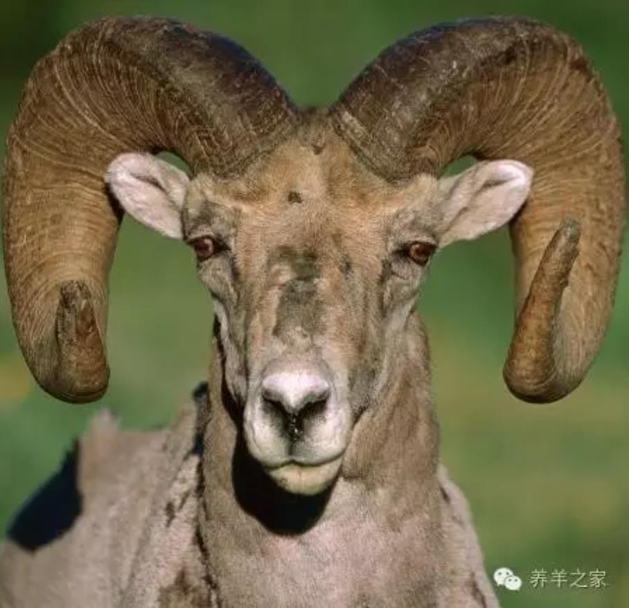 360截图20240727114632127.jpg