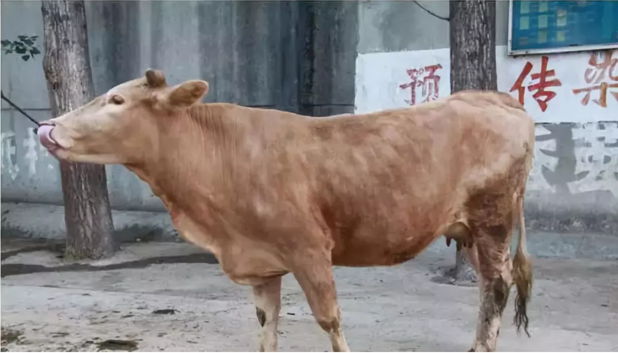 微信截图_20250111184135.jpg