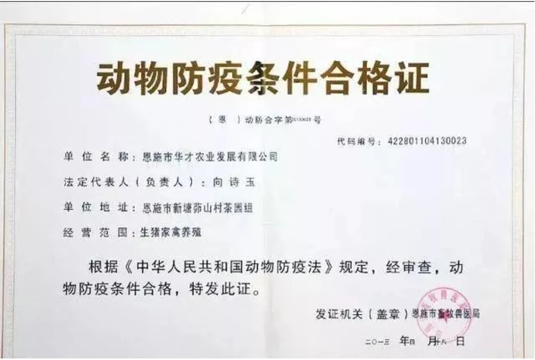 微信截图_20250116190221.jpg