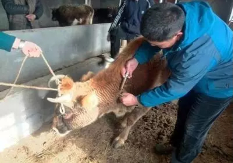 微信截图_20250205143558.jpg