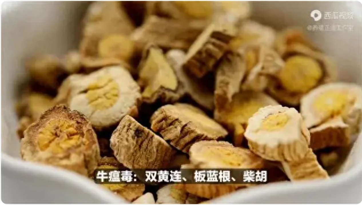 微信截图_20250324141259.jpg