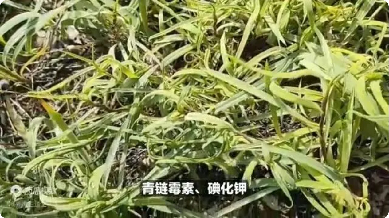 微信截图_20250324141317.jpg
