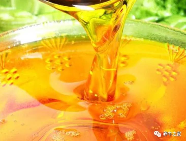 给牛加点水、喂点“油”，养牛挣钱不用愁