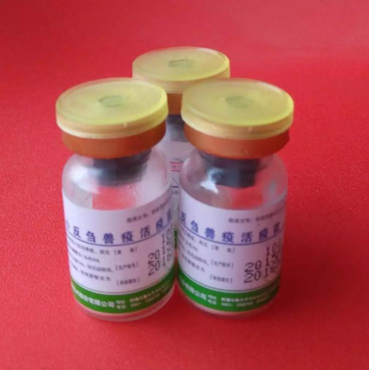 治疗常见羊病，这11种药够了！