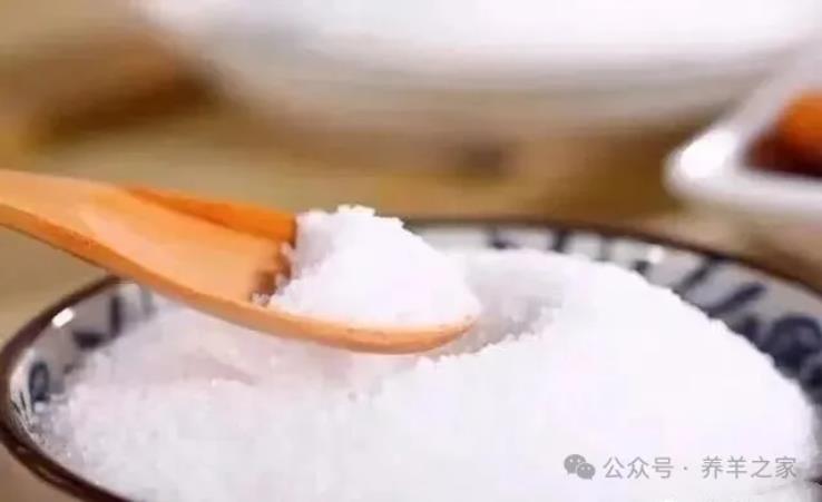 养羊万万不可缺盐！给羊喂盐的三种方法 你喂对了吗