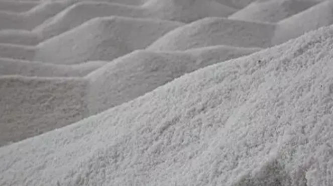 这都是喂羊的好东西……你喂过吗？