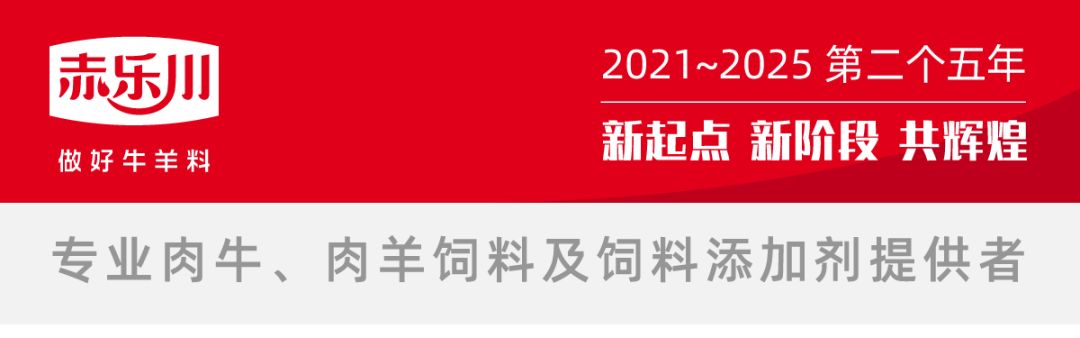 赤乐川“幸福之行”2021年第四站：走进张北(图1)