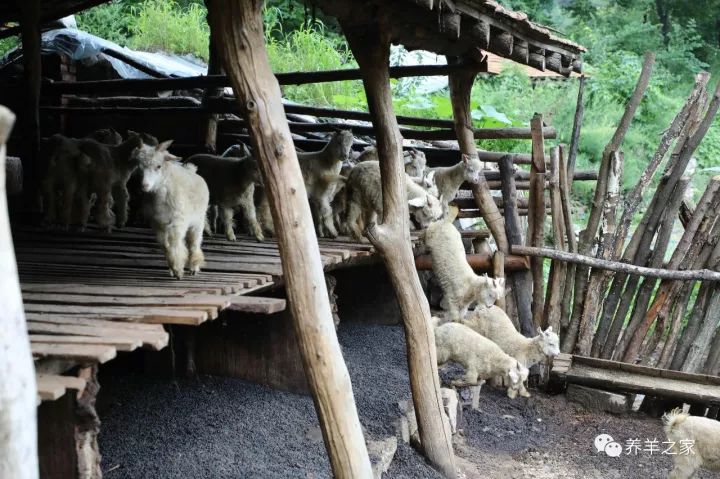 假如你的羊场要拆迁一平该陪你多少钱呢(图1) 假如你的羊场要拆迁一平该陪你多少钱呢(图1)